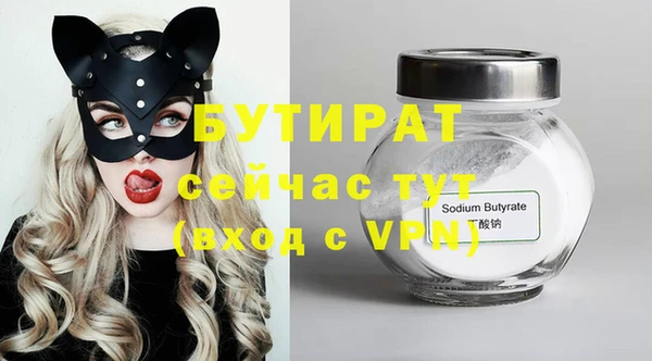 хмурый Аркадак
