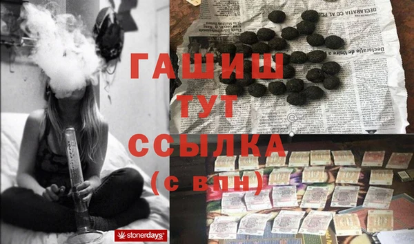 хмурый Аркадак