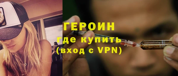 хмурый Аркадак
