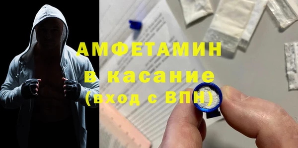 хмурый Аркадак