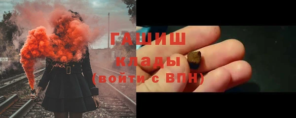 хмурый Аркадак