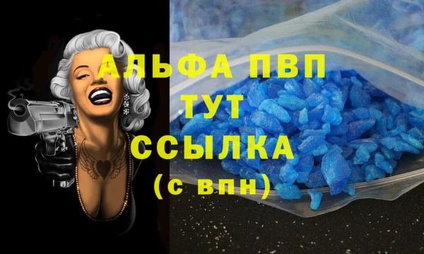 хмурый Аркадак