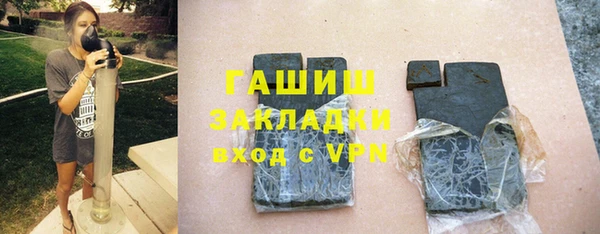 хмурый Аркадак