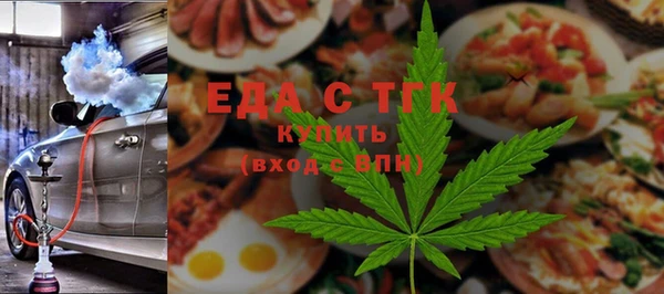 хмурый Аркадак