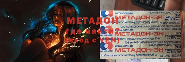 хмурый Аркадак