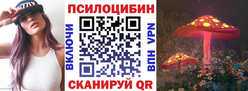 Галлюциногенные грибы мицелий  блэк спрут tor  Багратионовск 